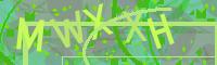 Visual Confirmation Code