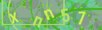 Visual Confirmation Code