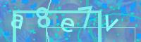 Visual Confirmation Code