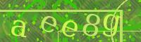 Visual Confirmation Code