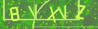 Visual Confirmation Code