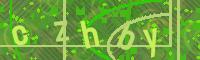 Visual Confirmation Code