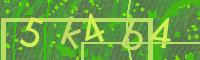 Visual Confirmation Code