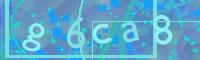 Visual Confirmation Code