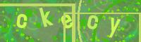 Visual Confirmation Code