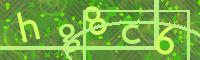 Visual Confirmation Code