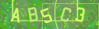 Visual Confirmation Code
