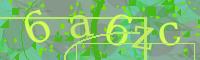 Visual Confirmation Code