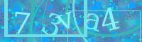 Visual Confirmation Code