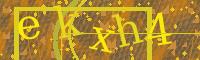 Visual Confirmation Code