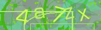 Visual Confirmation Code