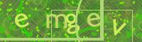 Visual Confirmation Code