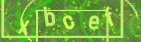 Visual Confirmation Code