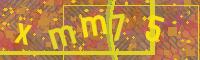 Visual Confirmation Code