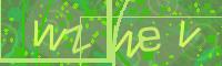 Visual Confirmation Code
