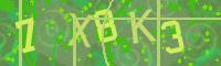 Visual Confirmation Code