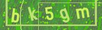 Visual Confirmation Code