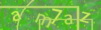 Visual Confirmation Code
