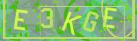 Visual Confirmation Code